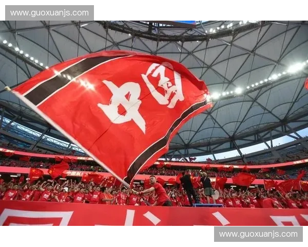 中国队征战世界杯历程回顾与未来挑战全面解析